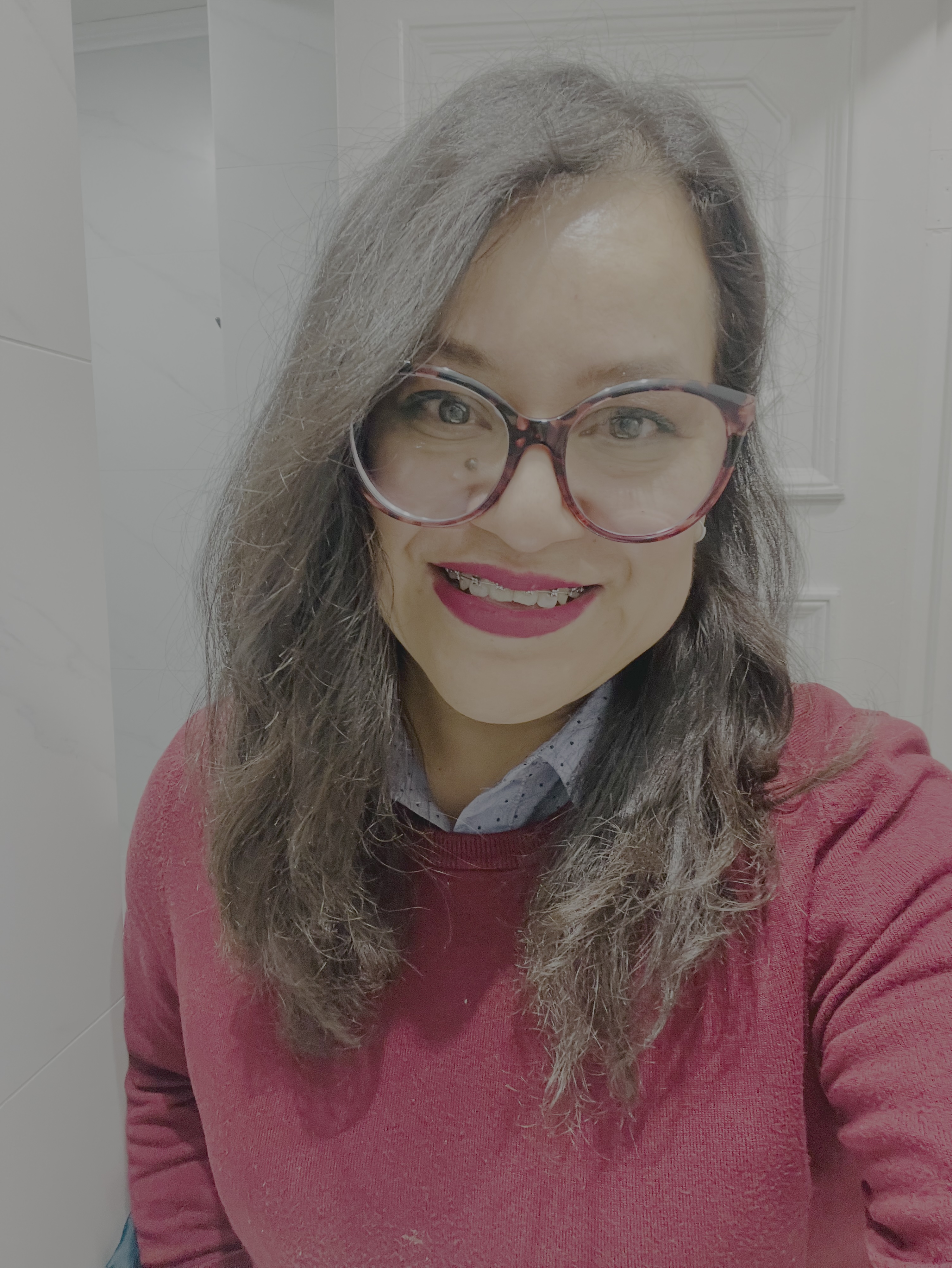 Ing. Carlos Sánchez